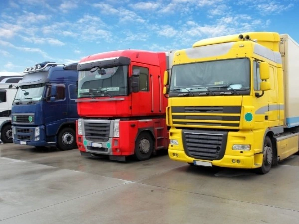 Antalya Balıklı Nakliye